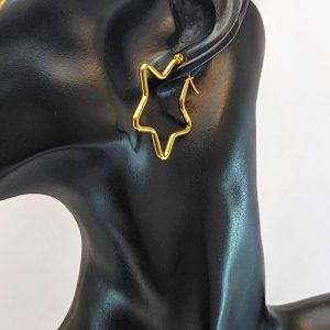 گوشواره ستاره بدل | فروشگاه اینترنتی گلدید