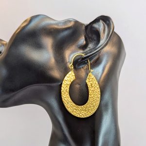 گوشواره خاص | فروشگاه اینترنتی گلدید